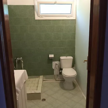 Проживание в семье Vera's House *